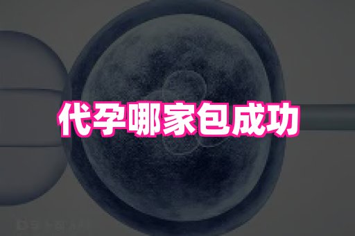 69助孕网 1