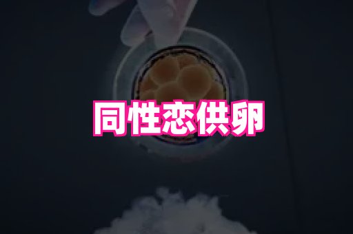 69助孕网 2