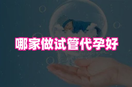 69助孕网 4